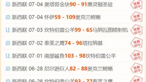 世界杯买球，合法博彩网站，下注 103855